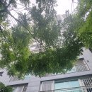 방충망영웅 이미지
