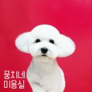 뭉치네 미용실 이미지