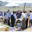 신영초등학교 이미지