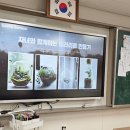 물금중학교 | 🌿 물금중학교 생태전환교육 | 자녀와 함께하는 블루밍앤브러쉬 테라리움 클래스 후기