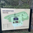 서귀포시 성산읍 [빛의벙커&amp;바움] 이미지