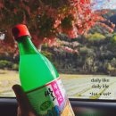 은행나무로(송현동) 이미지