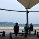 송도해수욕장 이미지