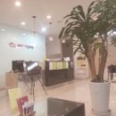 메이디산부인과의원 네이버블로그