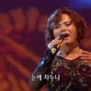 늘, 보리