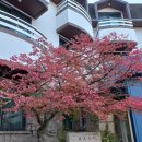 동학산장 이미지