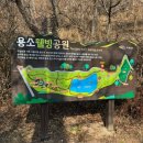 조이웰빙 | 부산 기장 가볼만한 곳 기장 애견동반여행 용소웰빙공원 기장 산책스팟