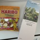 치우와겁쟁이들 | 나, ‘미친놈‘으로 1월 컴백