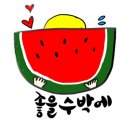 송소담