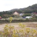 괘석영농조합법인 이미지