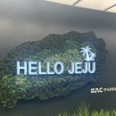 걷다보면 윤노리낭 | 두번째 제주🍊