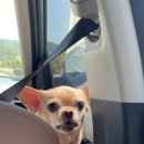 스며들397펜션 이미지