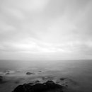 단국대학교 이미지