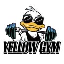 옐로우짐 내당점 | 옐로우짐 내당점 추천