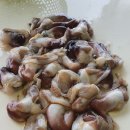 준보네수산