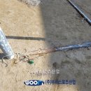 진위초등학교 이미지