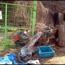 대광농장 이미지