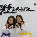 백호타이거즈태권도 이미지