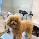 홍글몽글 이미지