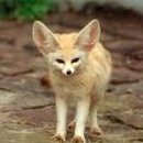 어린왕자 이미지