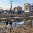 만천천길 이미지