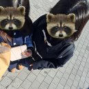 경북여고매점