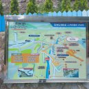 NR-7[동해대로]-상-140 | 동해여행코스 : 망상해수욕장, 해랑전망대, 도째비골스카이밸리(하늘자전거 못 탄 후기)