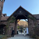 따듯한오후 낮잠소리 | [11월 일상 모음📂] 먹고 쉬고 머무는 11월의 평온한 가을날들🍁