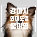 365동판교동물병원 이미지