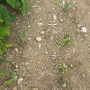 백경농장 이미지