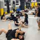 팀크로우 MMA 이미지