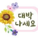 모아뷰티인셀덤