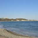 관성솔밭해변 티스토리