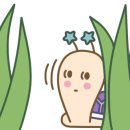 기린초밥