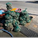 오륙도 수산 이미지