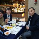 크레오성형외과 Daum카페