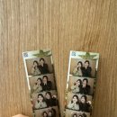 진안도야지 이미지