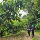 원주굽이길 9코스 스무산둘레길 이미지