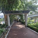 제708회 행복걷기 중랑천 장미 축제길 걷기 공지 이미지