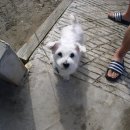 서경민박 이미지