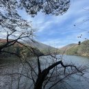 대공원칼국수&수제비 이미지