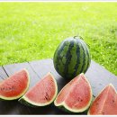 건강과약초 이미지