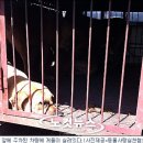 매일건강원 이미지