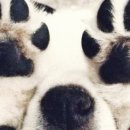 멈머링(mummuring) 이미지