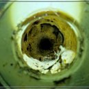 광암동 화장실 이미지