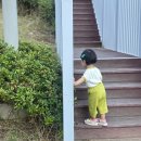27개월 아기와 함께 한 워킹맘 최근 육아일상