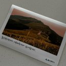 우리과자 별미당 | 근황 업데튜