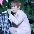 뮤직라이브 이미지