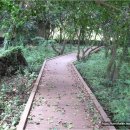 동백목장 이미지