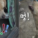 대화농장 이미지